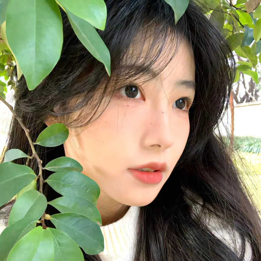 生而为狗我很幸福